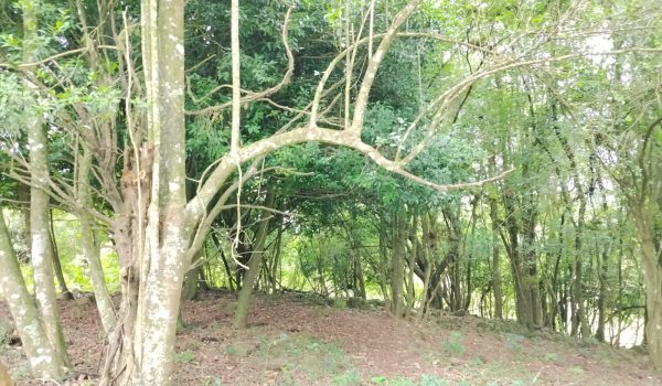 WhatsApp Image 2025-11-28 at 14.21.10 (1)