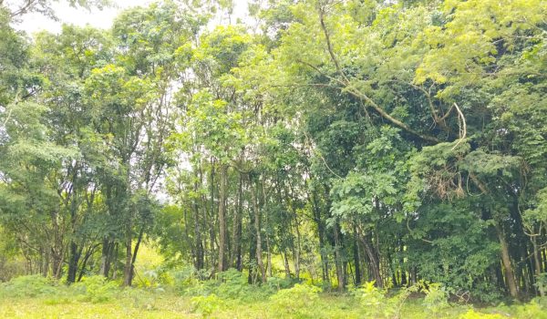 WhatsApp Image 2025-11-28 at 14.21.10