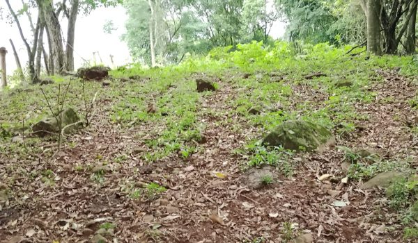 WhatsApp Image 2025-11-28 at 14.21.11