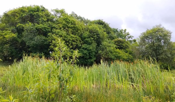 WhatsApp Image 2025-11-28 at 14.21.12 (1)