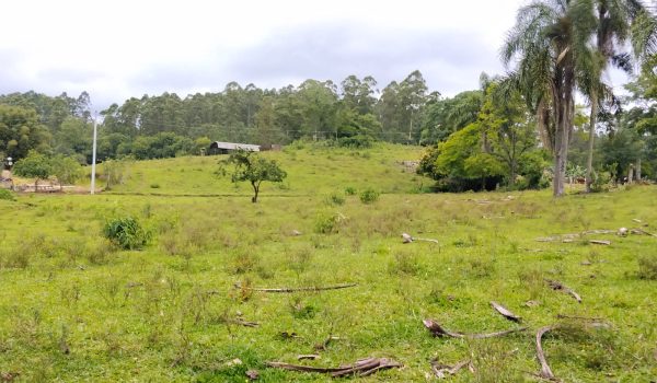 WhatsApp Image 2025-11-28 at 14.21.12