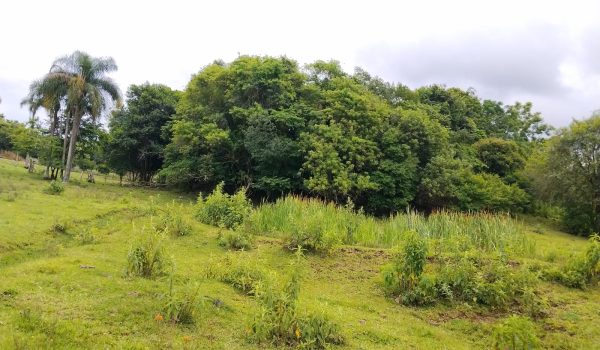 WhatsApp Image 2025-11-28 at 14.21.13