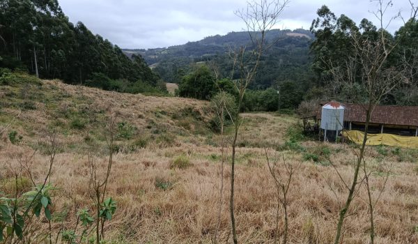 WhatsApp Image 2025-11-28 at 19.46.07 (3)