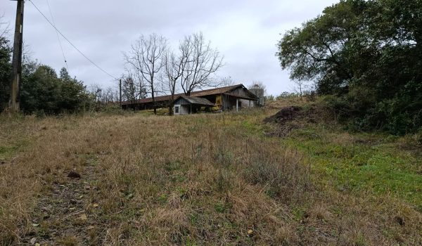 WhatsApp Image 2025-11-28 at 19.46.08 (3)