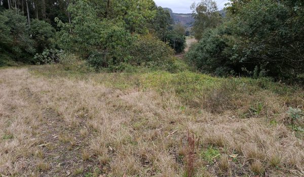 WhatsApp Image 2025-11-28 at 19.46.08 (4)