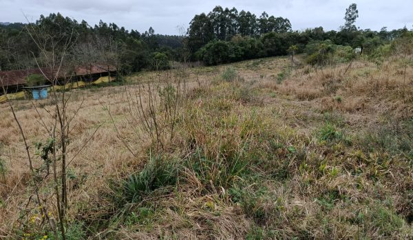 WhatsApp Image 2025-11-28 at 19.46.08 (5)