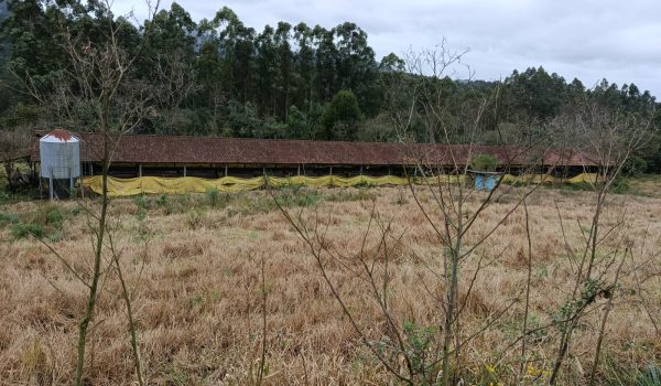 WhatsApp Image 2025-11-28 at 19.46.08 (6)