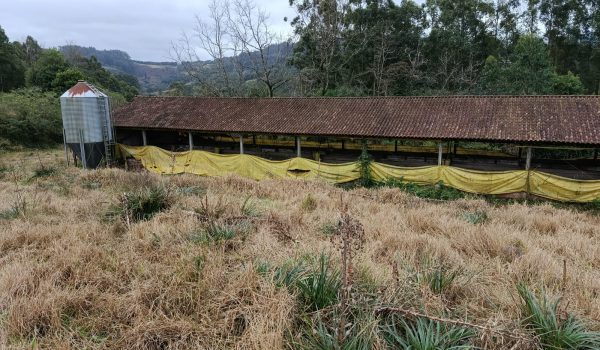 WhatsApp Image 2025-11-28 at 19.46.08 (7)