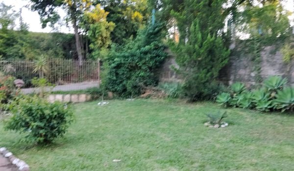WhatsApp Image 2025-12-02 at 16.41.16