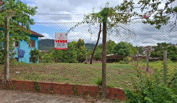 WhatsApp Image 2026-01-16 at 10.27.56