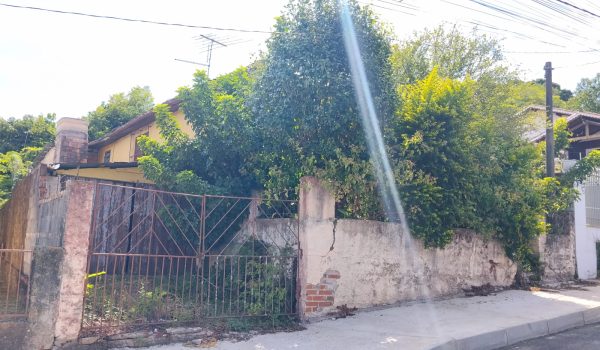 WhatsApp Image 2026-02-10 at 18.32.00