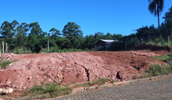 WhatsApp Image 2026-02-11 at 16.28.04