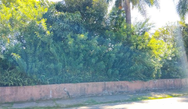 WhatsApp Image 2026-02-23 at 09.25.48 (1)