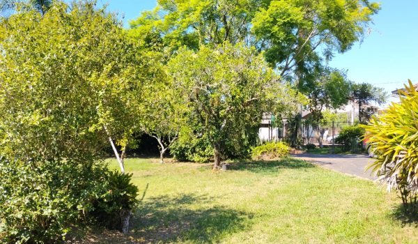 WhatsApp Image 2026-02-23 at 09.25.50 (2)