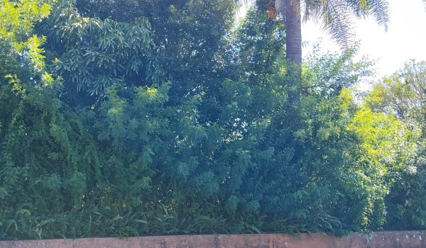 WhatsApp Image 2026-02-23 at 09.25.50