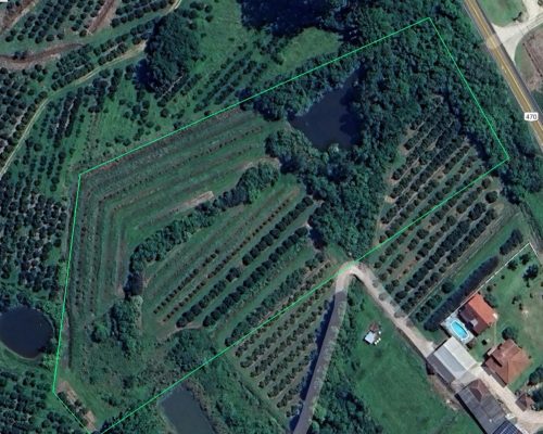 WhatsApp Image 2026-03-09 at 20.26.11