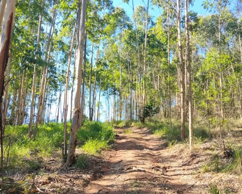 WhatsApp Image 2026-03-10 at 15.28.58 (2)