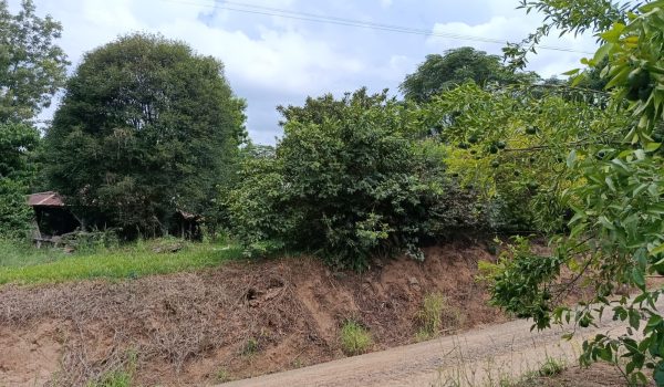 WhatsApp Image 2026-03-12 at 19.51.25