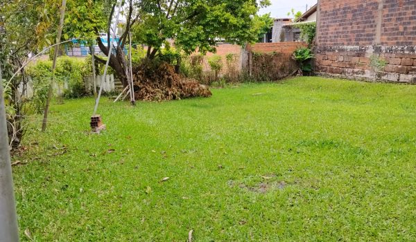 WhatsApp Image 2026-03-21 at 14.09.38