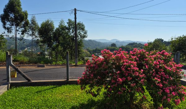 WhatsApp Image 2026-03-30 at 08.56.35 (1)