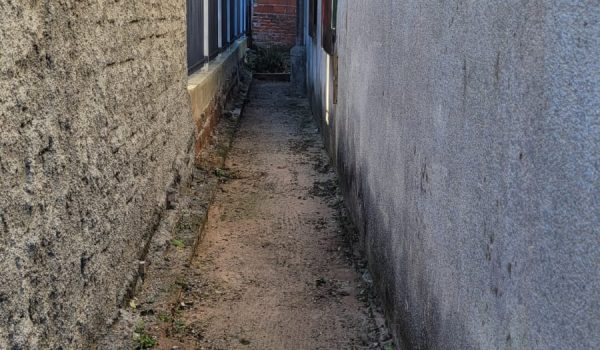 WhatsApp Image 2026-04-08 at 19.22.03