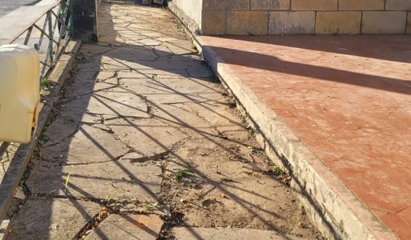 WhatsApp Image 2026-04-08 at 19.22.04