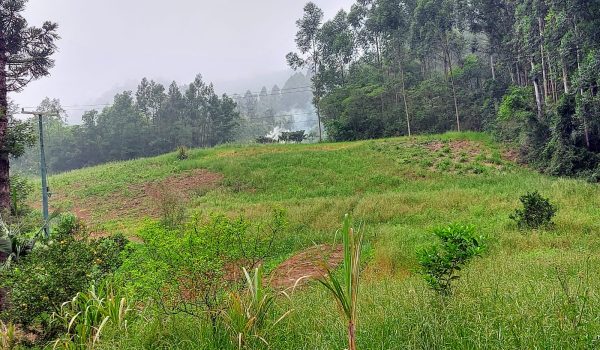 WhatsApp Image 2026-09-18 at 14.14.45 (1)