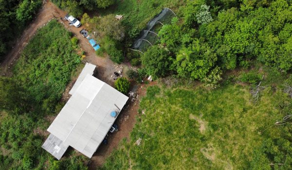 dji_fly_20230221_154800_218_1677005289494_photo_optimized