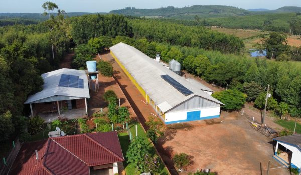 dji_fly_20230223_085752_233_1677153480237_photo_optimized