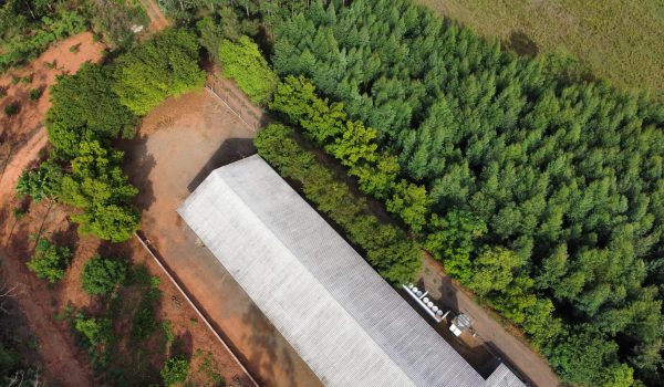 dji_fly_20230223_085954_237_1677153603764_photo_optimized