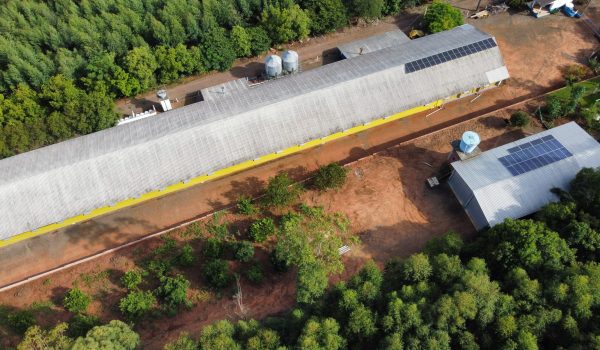 dji_fly_20230223_090024_239_1677153633055_photo_optimized