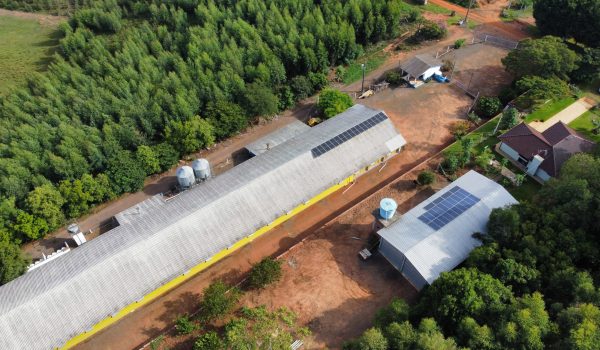 dji_fly_20230223_090032_240_1677153642759_photo_optimized